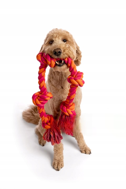 BARF WOŁOWY MIĘSO MROŻONE SUROWE DLA PSA 10 KG ZK WOŁOWE WOŁOWINA