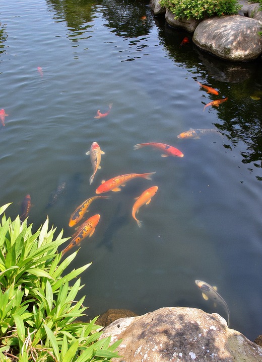 KREDA 10kg do oczka wodnego