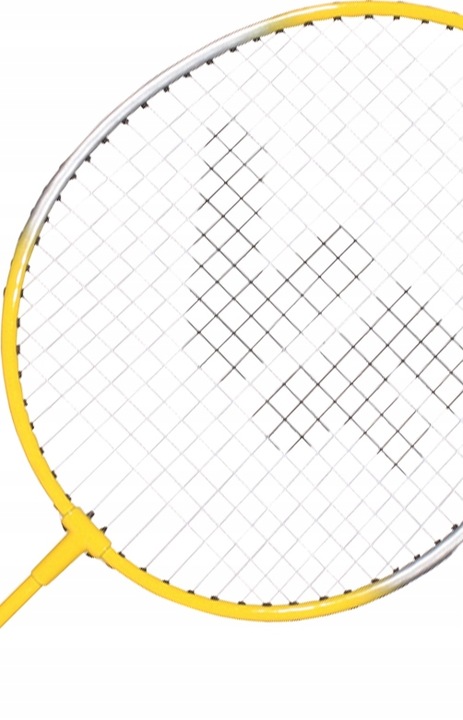 Zestaw 4 rakiet do badmintona + lotki + pokrowiec VICFUN Hobby Typ B