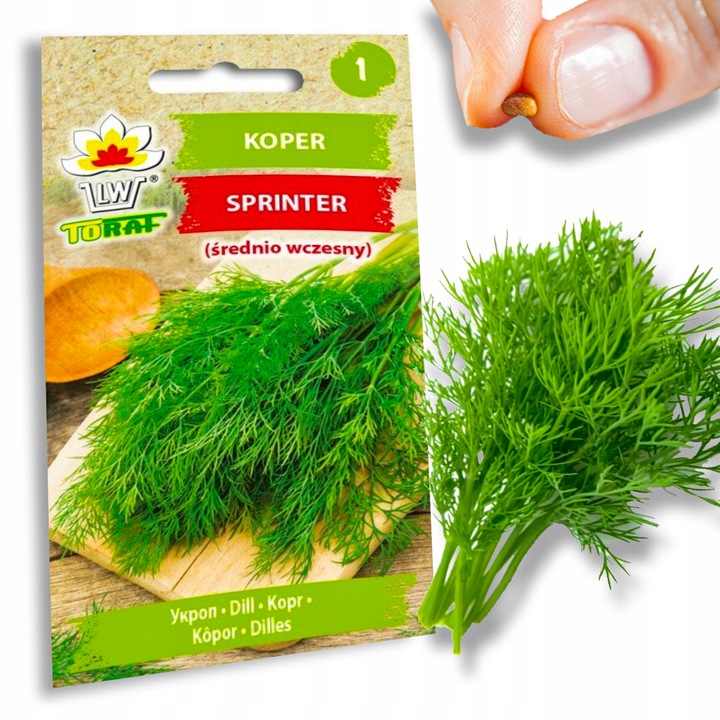 Nasiona warzyw marchew ogórek pietruszka burak NA DOBRY START UDANE PLONY