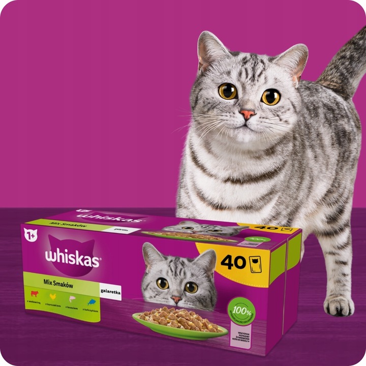 MOKRA KARMA WHISKAS MIX SMAKÓW W GALARETCE SASZETKI 40X85G