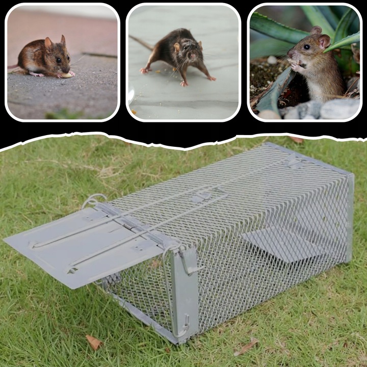 PUŁAPKA ŻYWOŁAPKA NA SZCZURY MYSZY GRYZONIE KUNY ŁAPKA DO ŁAPANIA
