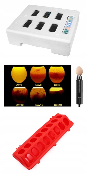 Inkubator Automatyczny NOE36 dla GĘSI kaczek INDYKÓW gołębi KLUJNIK AUTOMAT