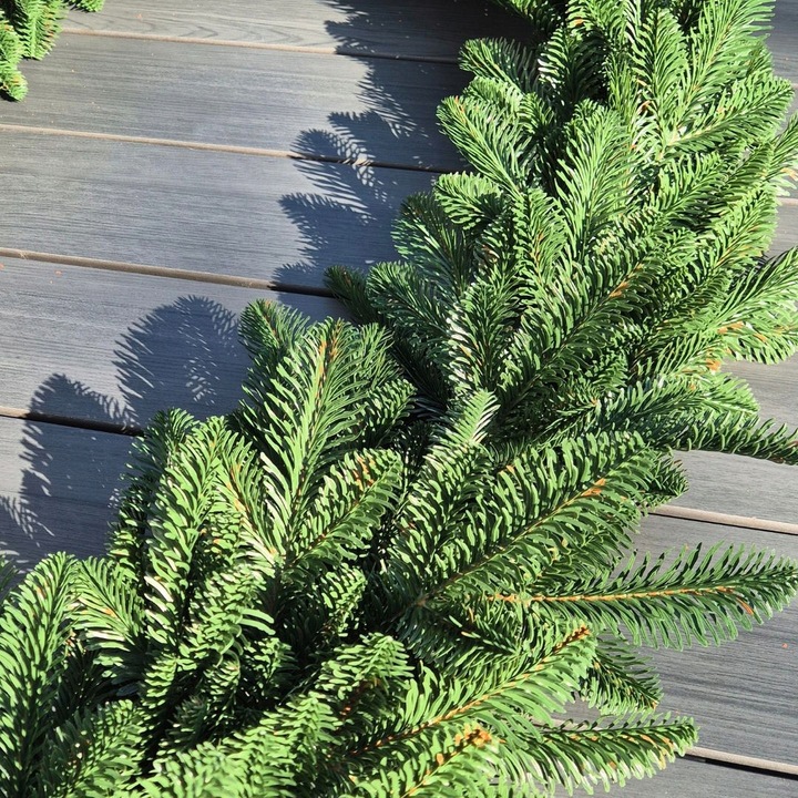 Girlanda Jodła OLIVE 100% PE 200 cm DŁUGA gęsta jak naturalna