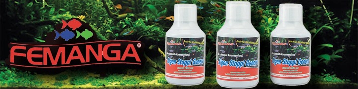 JAK POZBYĆ SIĘ GLONÓW W AKWARIUM ALGENSTOP 500ML