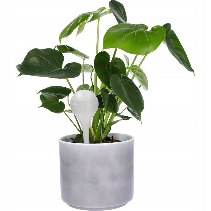 KULE NAWADNIAJĄCE DO KWIATÓW ROŚLIN DONICZEK DOZOWNIK WODY ZESTAW 8szt