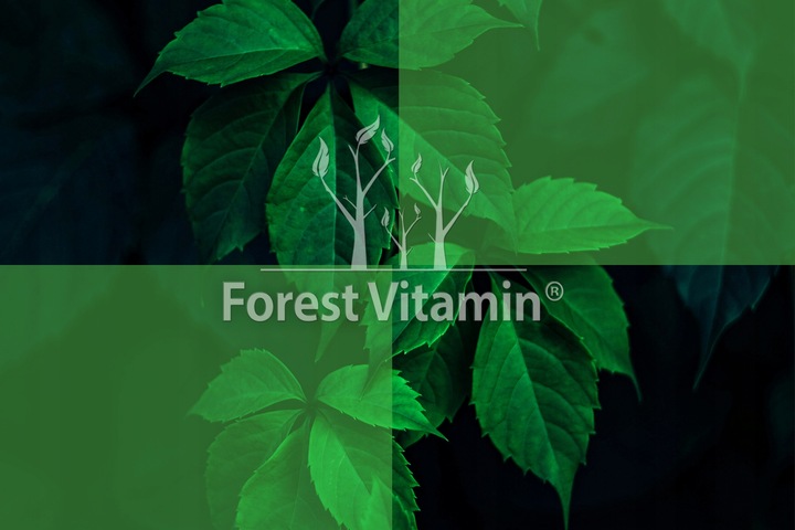 FOREST VITAMIN L-TREONIAN MAGNEZU 50g CZYSTY PROSZEK L-THREONATE MAGNEZ