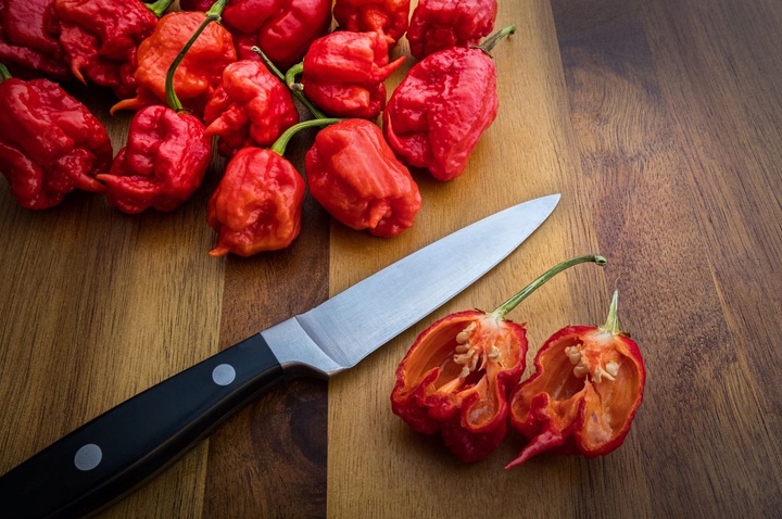 ZESTAW DO UPRAWY PAPRYKA CAROLINA REAPER HP22B RED NASIONA NAJOSTRZEJSZA