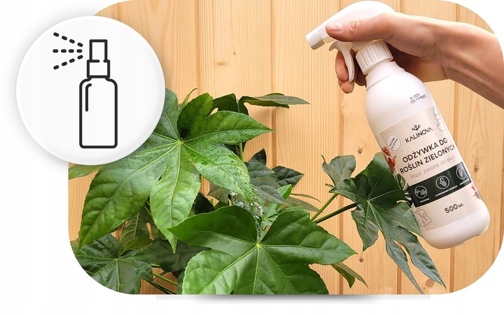 Odżywka Nawozowa Nawóz Do Liści Roślin Zielonych Monstery Palm Fikusa