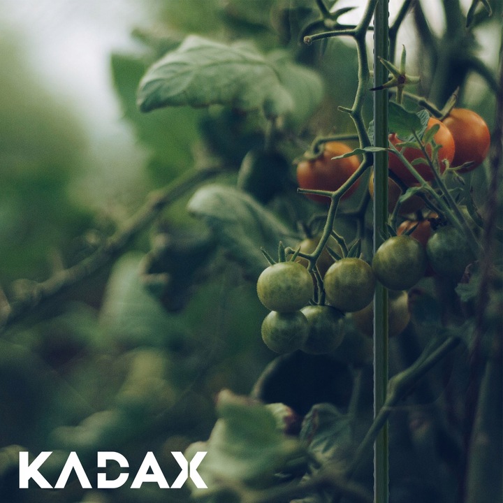 TYCZKA DO ROŚLIN PODPORA 180cm TYCZKI PALIK POMIDORÓW POWLEKANA 16mm