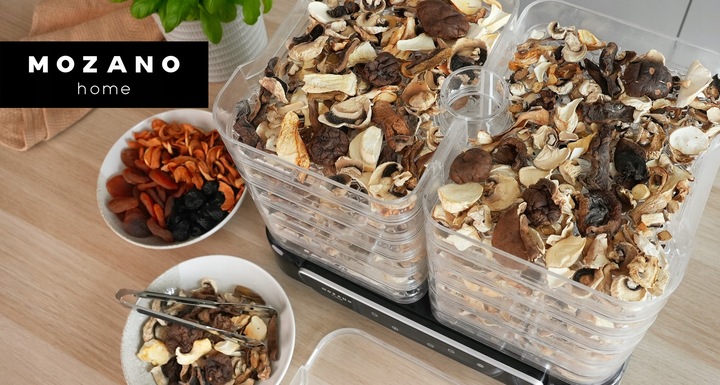 DUŻA SUSZARKA DO GRZYBÓW OWOCÓW WARZYW ZIÓŁ 6 SIT MOCNA 550W ZESTAW