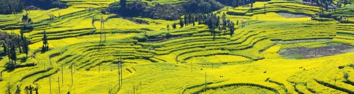 YOPE Żel pod prysznic Yunnan REFILL 800 ml