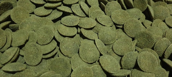 TROPICAL BREEDER GREEN ALGAE WAFERS 1kg GLONOJADÓW