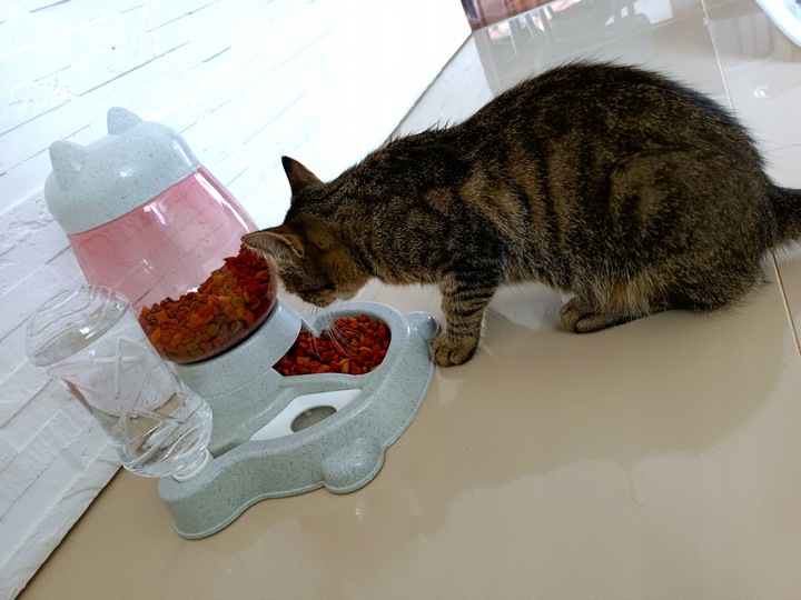 AUTOMATYCZNY PODAJNIK WODY I KARMY MISKA DLA KOTA I PSA DOZOWNIK 2W1 POIDŁO