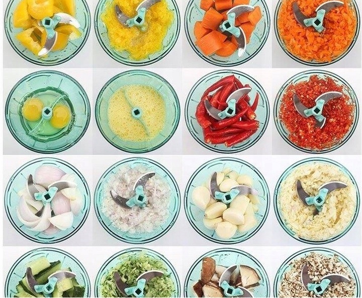 ROZDRABNIACZ ADLER AD4082 DO WARZYW, OWOCÓW I ORZECHÓW ZE SZKLANĄ MISĄ