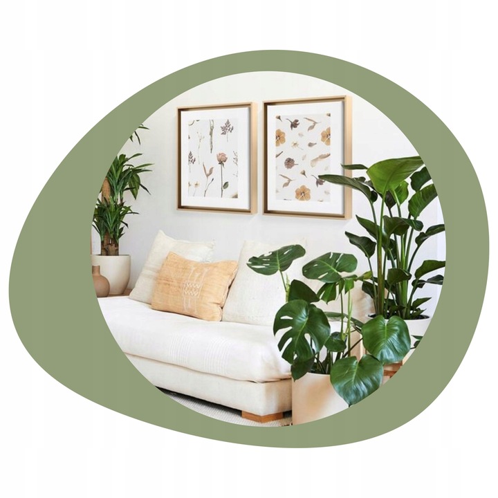 COMPO 2w1 NA CHOROBY I SZKODNIKI - MSZYCE PRZĘDZIORKI WCIORNASTKI