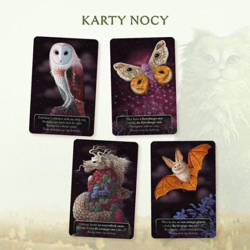 Gra Koty - rodzinna gra karciana