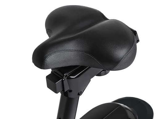 Zipro Rower elektryczno-magnetyczny Rook Gold