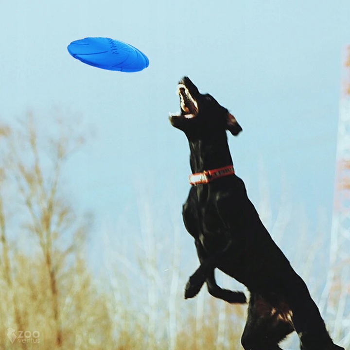 Zestaw 3x DYSK DO RZUCANIA APORTOWANIA FRISBEE GRYZAK zabawka dla psa
