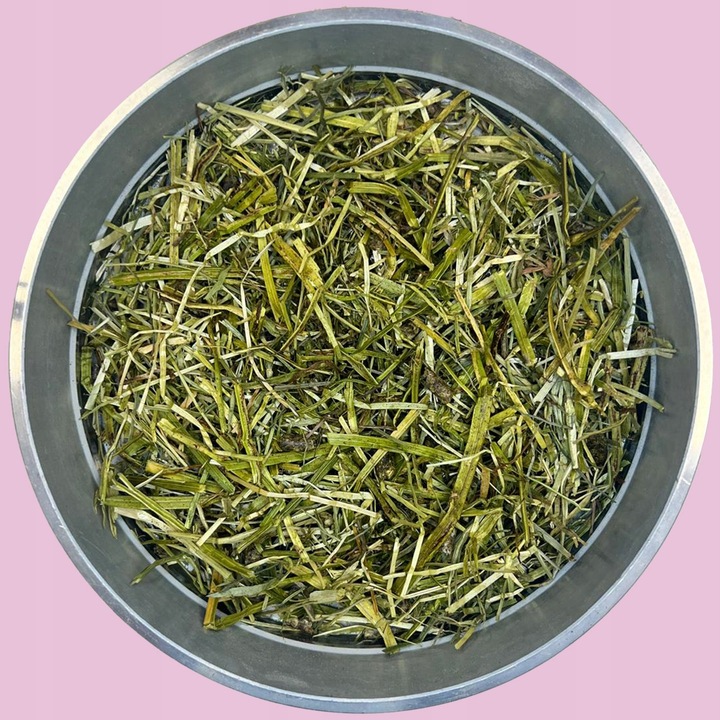 Pełnowartościowa Sieczka z Lucerny Pasza Dla Koni FDS ALFA COMPLETE 15kg