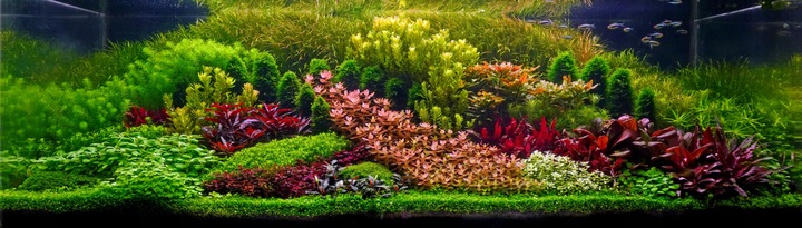 Podłoże Aktywne do Akwarium Siła Natury dla Twoich Roślin NATURE SOIL 3L