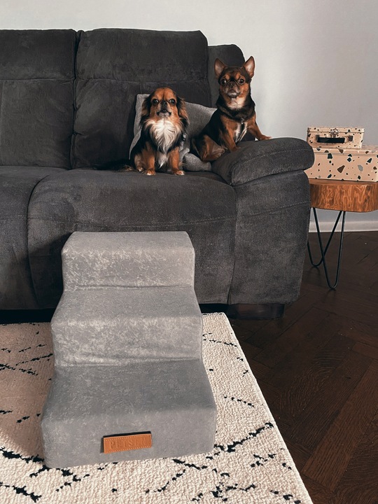 Schody SCHODKI dla psa 4 stopnie GRAWER gratis