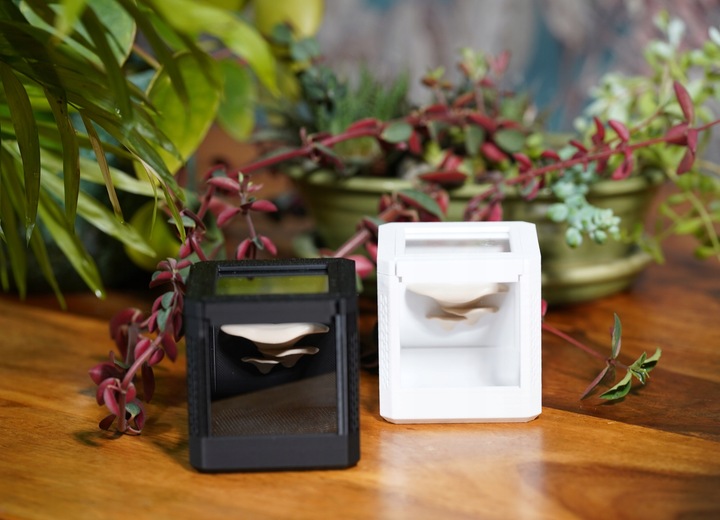 Terrarium szklane -6,5 x 6,5 x 6,5 dla pająka, modliszki, skakuna