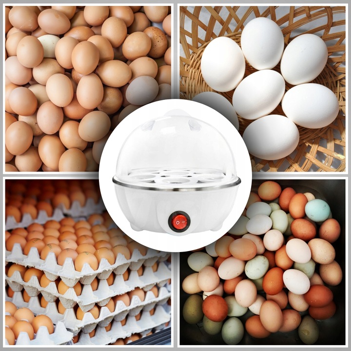 Jajowar elektryczny automat do gotowania jajek
