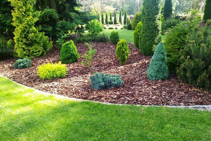 KORA SOSNOWA Ogrodowa Gruba Torf Humus 80L