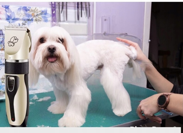 MASZYNKA DO STRZYŻENIA PSA PSÓW KOTÓW ZWIERZĄT GOLARKA ZESTAW CICHA 12W1