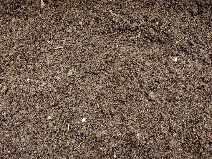 Podłoże dla żółwia greckiego stepowego lądowego Testudo Soil Baby 10 L