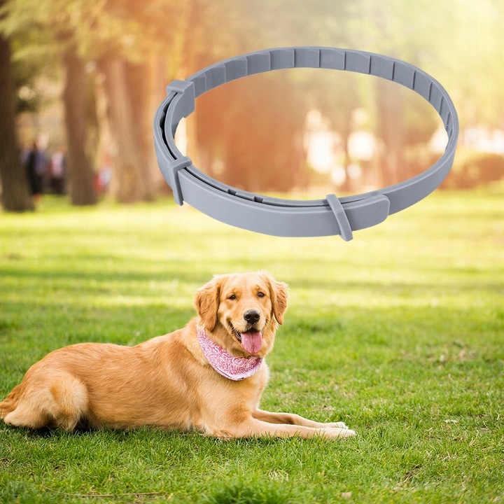 OBROŻA NA PASOŻYTY DLA PSA DO 8KG 40CM 8 MIESIĘCY DZIAŁANIA