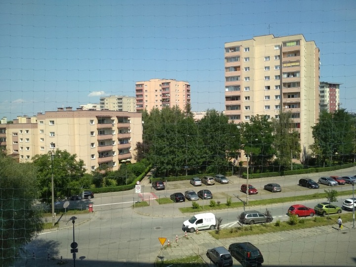 SIATKA PRZEZROCZYSTA NA BALKON DLA KOTA PTAKI 3x8