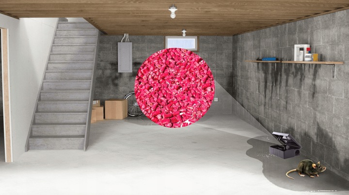 ZATRUTE ZIARNO MOCNA TRUTKA NA MYSZY SZCZURY GRYZONIE WABI