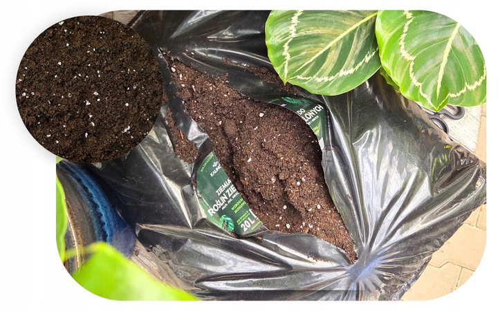 Podłoże Rośliny Zielone do Palm Juk Dracen Monstery Zamiokulkasa