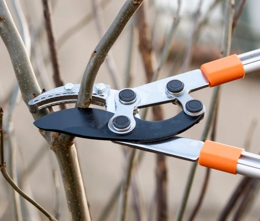 SEKATOR TELESKOPOWY KOWADEŁKOWY DO GAŁĘZI KRZEWÓW PĘDÓW OGRODOWY + RĘKAWICE