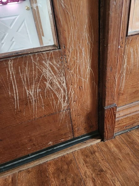 FOLIA OCHRONNA DRZWI MEBLE PRZECIW DRAPANIU 150X80 RAKLA FILC GRATIS