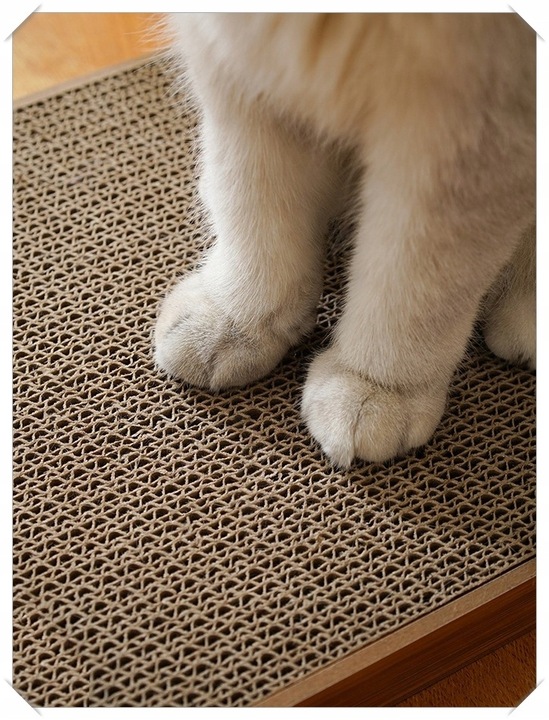 Drapak Narożny Dla Kota Kotów Zabawka z Piłką