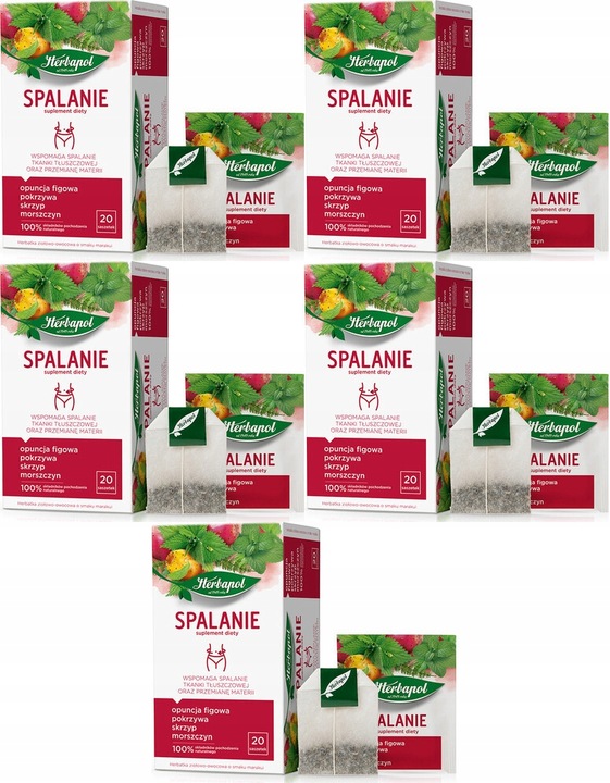 Herbata Herbapol Spalanie marakuja 5x20szt-2g