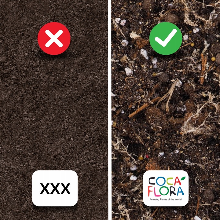 Specjalistyczne Podłoże Ziemia Do DZBANECZNIKÓW Mix PREMIUM