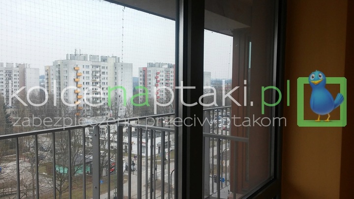 Siatka 3x4 przezroczysta dla kota, przeciw ptakom