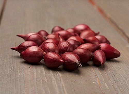 ZIMOWY ZESTAW DO SADZENIA 2x Dymka + Czosnek Harnaś 500g