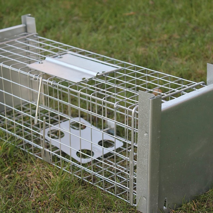 żywołapka pułapka na szczury gryzonie duża łapka