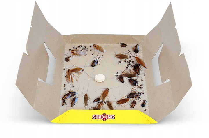 PUŁAPKA LEP NA KARALUCHY I PRUSAKI KARALEP STRONG Z SILNYM WABIKIEM 5