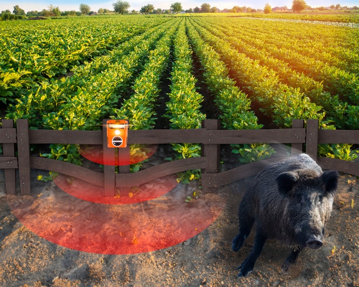 ULTRADŹWIĘKOWY ODSTRASZACZ NA LISY DZIKI SARNY JELENIE BOBRY ZAJĄCE