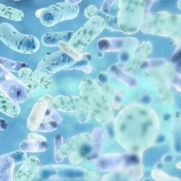 SANPROBI Barrier probiotyk 40 kapsułek