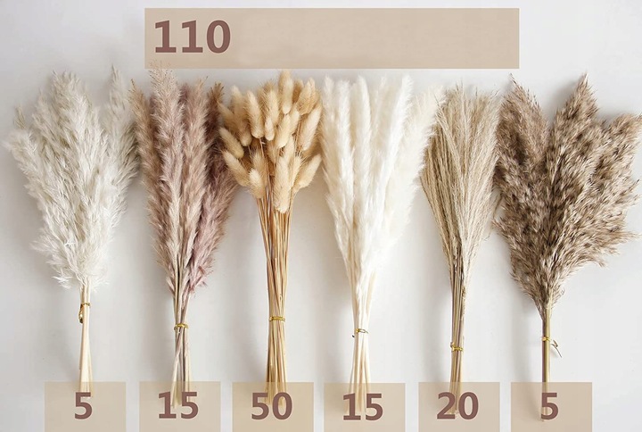 Trawa Ozdobna Pampasowa Suszona Pampasy Do Wazonu