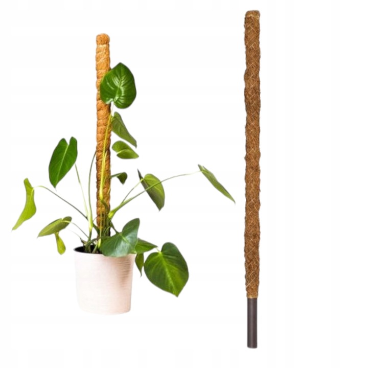 Podpora Palik Kokosowy 100cm (1M) Tyczka do Monstery Kwiatów Roślin