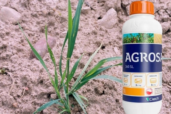 Agrosar 360 SL 1L glifosat 360g/l, niszczy wszystkie chwasty, perz,