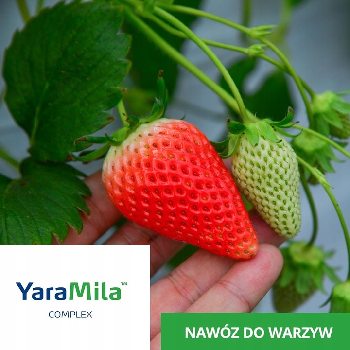 Nawóz do traw ogrodu warzyw Yara Mila COMPLEX 25kg
